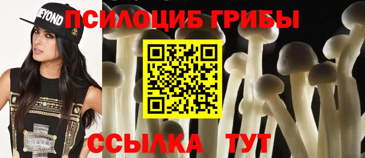 Псилоцибиновые грибы Cubensis Северобайкальск